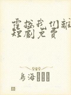 霍总我们离婚了短剧免费