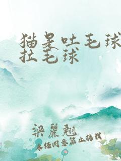 猫是吐毛球还是拉毛球