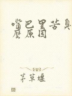 嘴巴里苦臭是什么原因