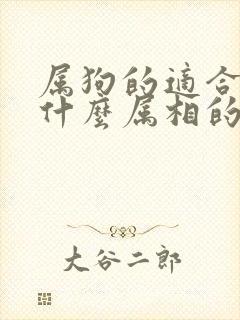 属狗的适合佩戴什么属相的挂件