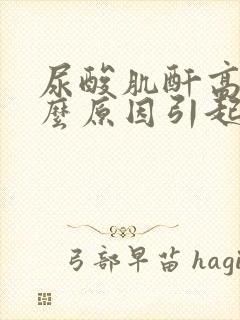 尿酸肌酐高是什么原因引起的