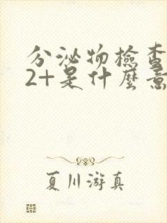 分泌物检查杆菌2+是什么意思