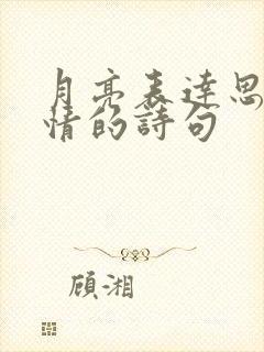 月亮表达思念之情的诗句