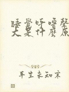 睡觉呼噜声特别大是什么原因