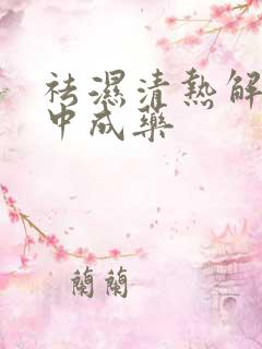 祛湿清热解毒的中成药