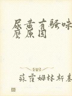 尿黄有骚味是什么原因