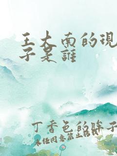 王大南的现任妻子是谁