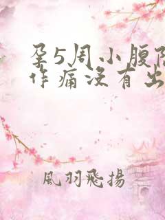 孕5周小腹隐隐作痛没有出血