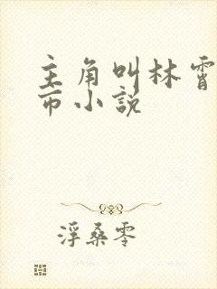 主角叫林霄的都市小说