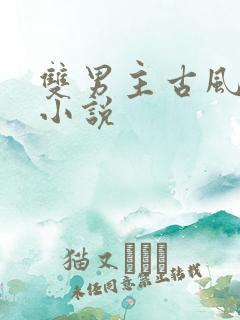 双男主古风怀孕小说