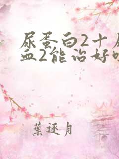 尿蛋白2十尿带血2能治好吗