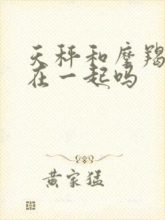 天秤和摩羯适合在一起吗