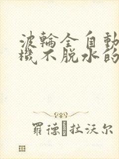 波轮全自动洗衣机不脱水的原因