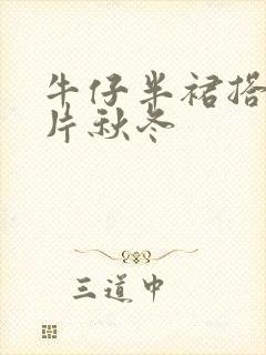 牛仔半裙搭配图片秋冬