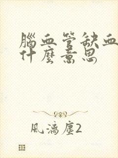 脑血管缺血灶是什么意思