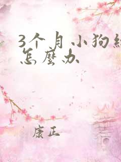 3个月小狗细小怎么办