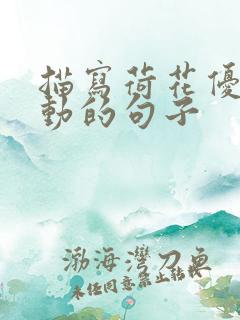 描写荷花优美生动的句子