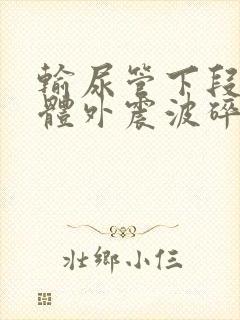 输尿管下段结石体外震波碎石多少钱