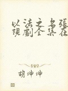 以法之名张译电视剧全集在线观看 免费播放