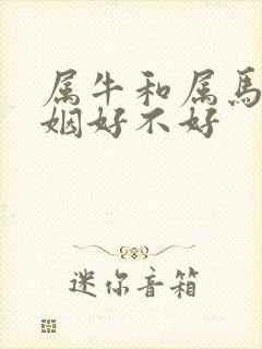 属牛和属马的婚姻好不好