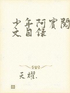 少年阿宾阅读全文目录