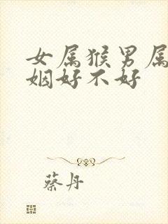 女属猴男属狗婚姻好不好