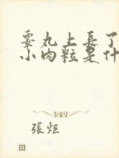 睾丸上长了一个小肉粒是什么