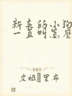 新来的小狗晚上一直叫怎么办