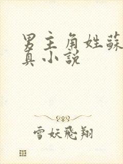 男主角姓苏的修真小说