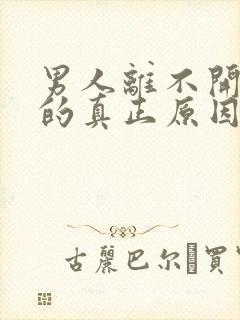 男人离不开情人的真正原因是什么