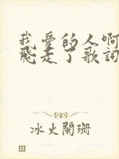 我爱的人啊已经飞走了歌词是什么意思