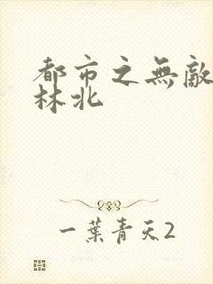 都市之无敌战神林北