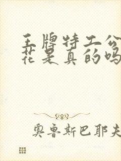 王牌特工公主菊花是真的吗