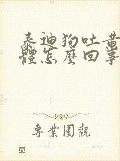 泰迪狗吐黄色液体怎么回事