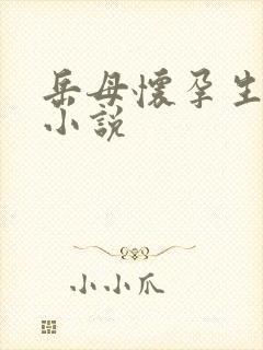 岳母怀孕生孩子小说
