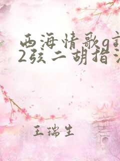 西海情歌g调52弦二胡指法