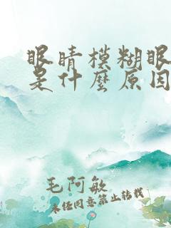 眼睛模糊眼袋肿是什么原因