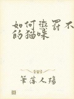 如何惩罚不听话的猫咪