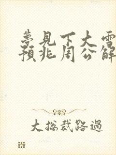 梦见下大雪什么预兆周公解梦