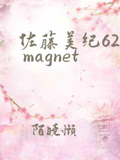 佐藤美纪62部 magnet