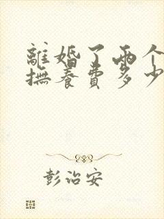 离婚了两个孩子抚养费多少钱一个月