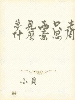 梦见两只老鼠是什么意思周公解梦