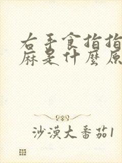 右手食指指尖发麻是什么原因