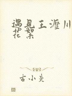 遇见王沥川未播花絮