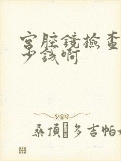 宫腔镜检查要多少钱啊