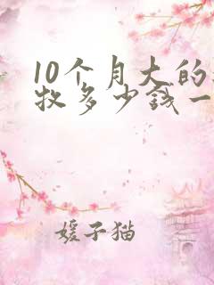 10个月大的边牧多少钱一只