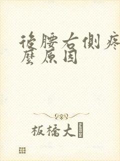 后腰右侧疼是什么原因