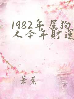 1982年属狗人今年财运怎么样