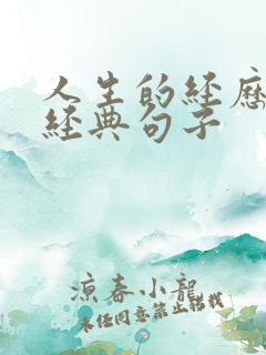 人生的经历感悟经典句子