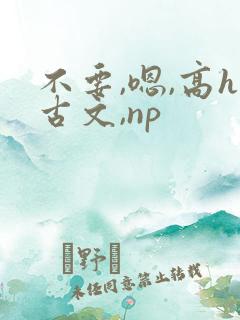不要,嗯,高h古文,np